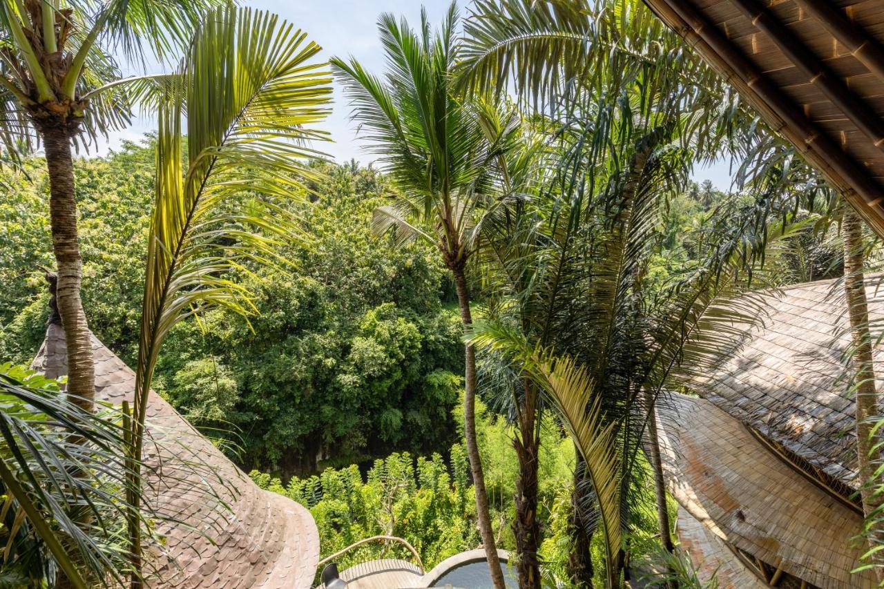 Eclipse House 4Bds Eco Bamboo House Pool Riverview Bringkit 外观 照片